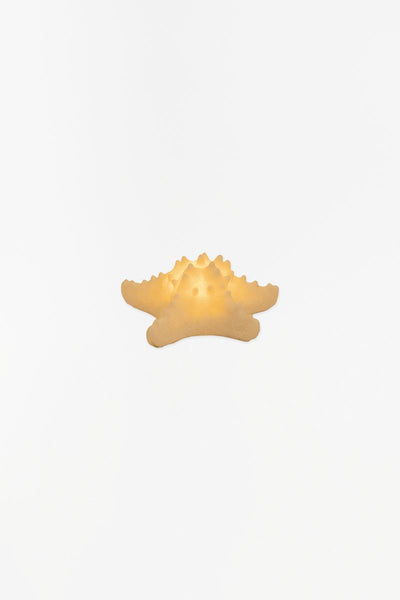 Batela Lámpara con forma de estrella de mar - D1290 - Batela Ofertas de temporada