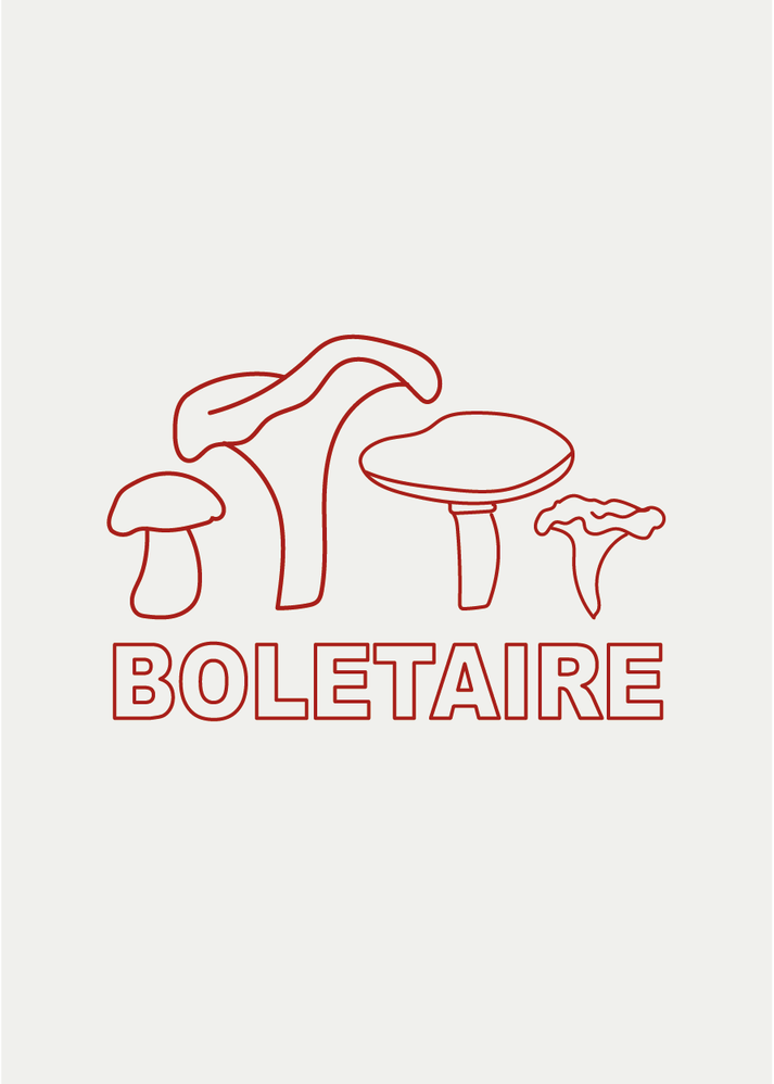 Iaios Boletaire Venta caliente