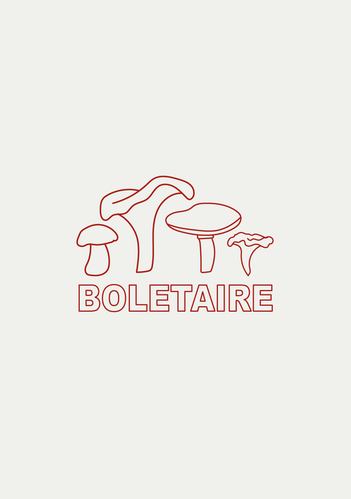 Iaios Boletaire Rebajas baratas