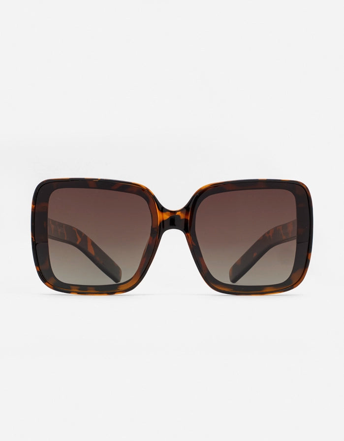 koala bay Gafas de Sol Casual Marrón Carey - Florence Rebajas