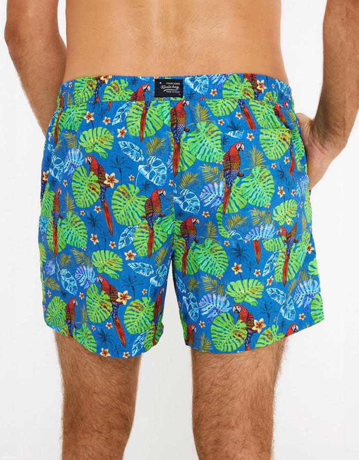 koala bay Bañador Corto Azul - Yellow Precios de Black Friday
