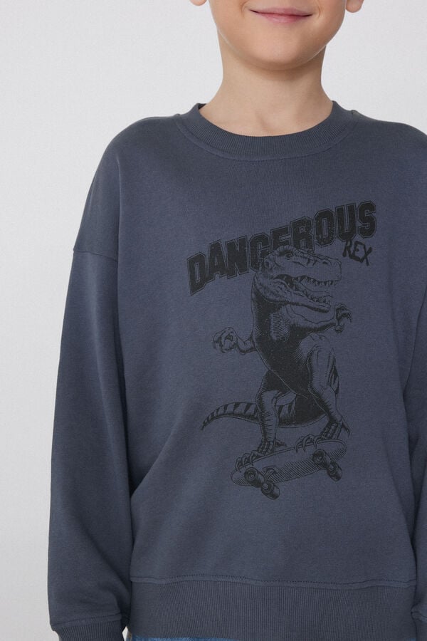 Tezenis Sudadera Manga Larga con Estampado para Niño Oferta exclusiva
