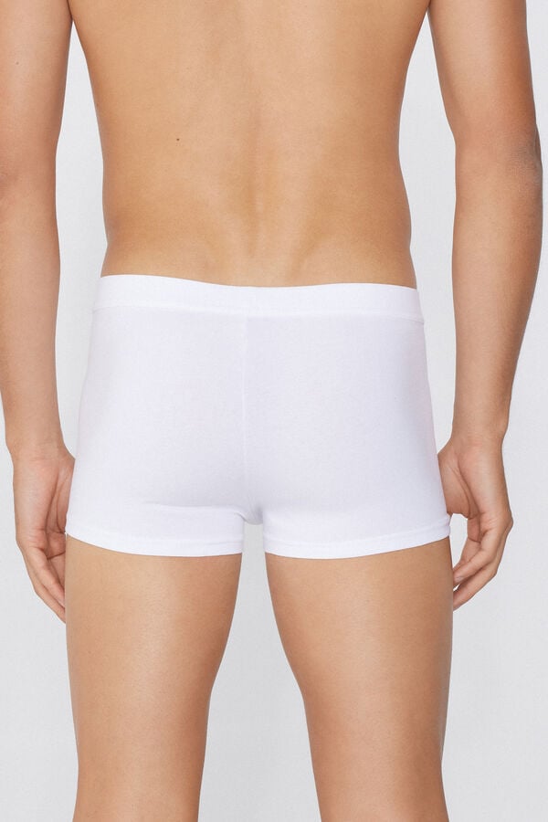 Tezenis Bóxer de Algodón Elástico Ofertas