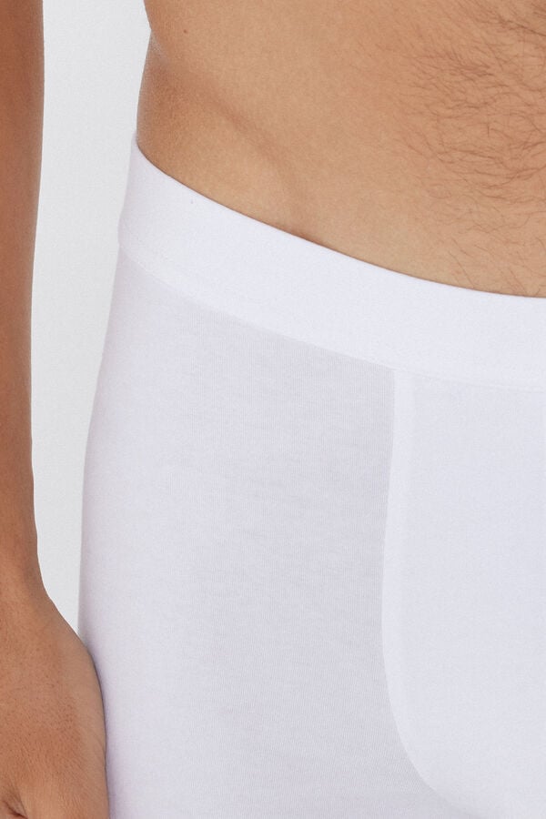 Tezenis Bóxer de Algodón Elástico Ofertas